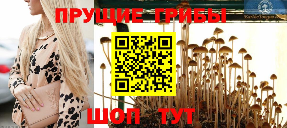 Озёры  Галлюциногенные грибы прущие грибы  Вход с VPN  Псилоцибиновые грибы GOLDEN TEACHER 